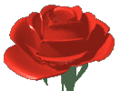Welcome Image