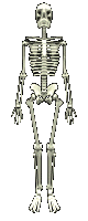 Welcome Image